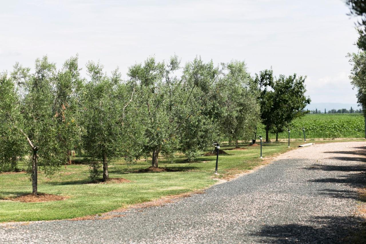 Agriturismo Valdo Grosseto Bagian luar foto