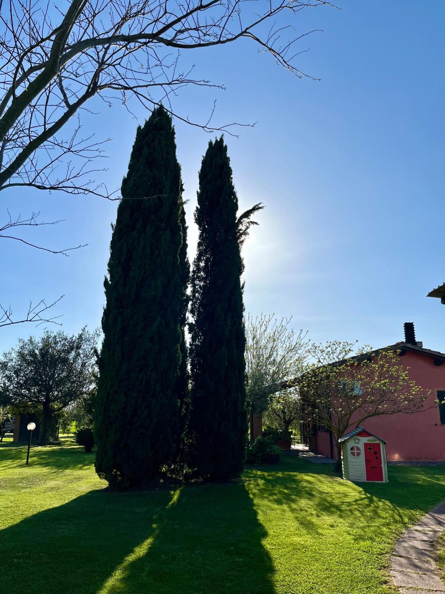 Agriturismo Valdo Grosseto Bagian luar foto