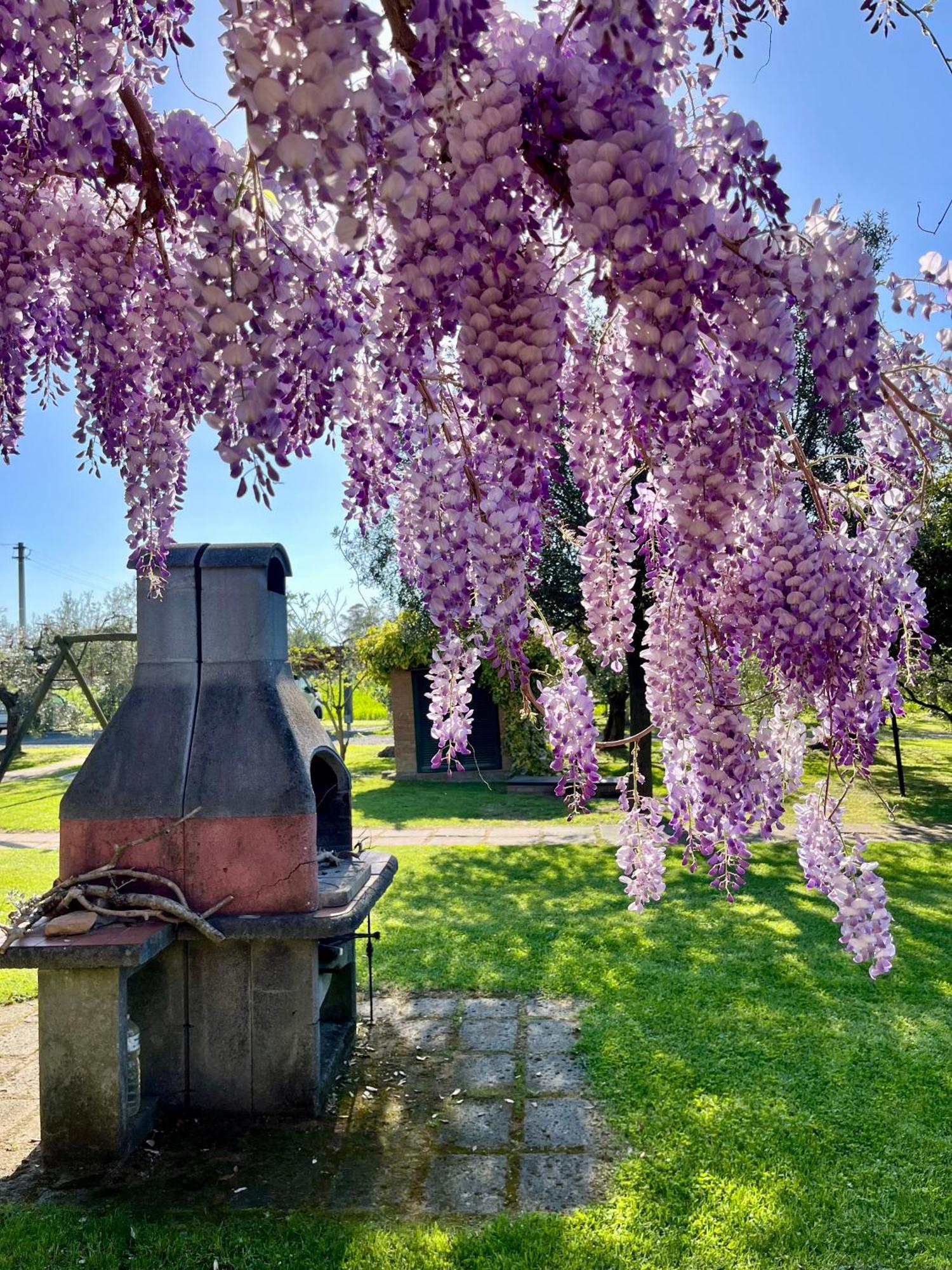 Agriturismo Valdo Grosseto Bagian luar foto