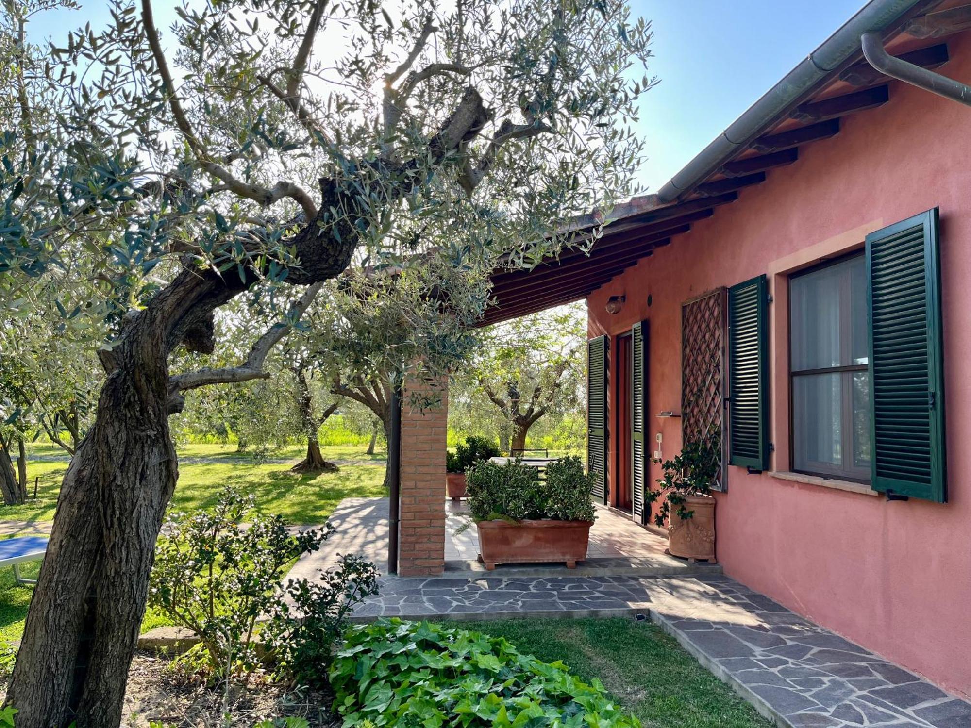 Agriturismo Valdo Grosseto Bagian luar foto
