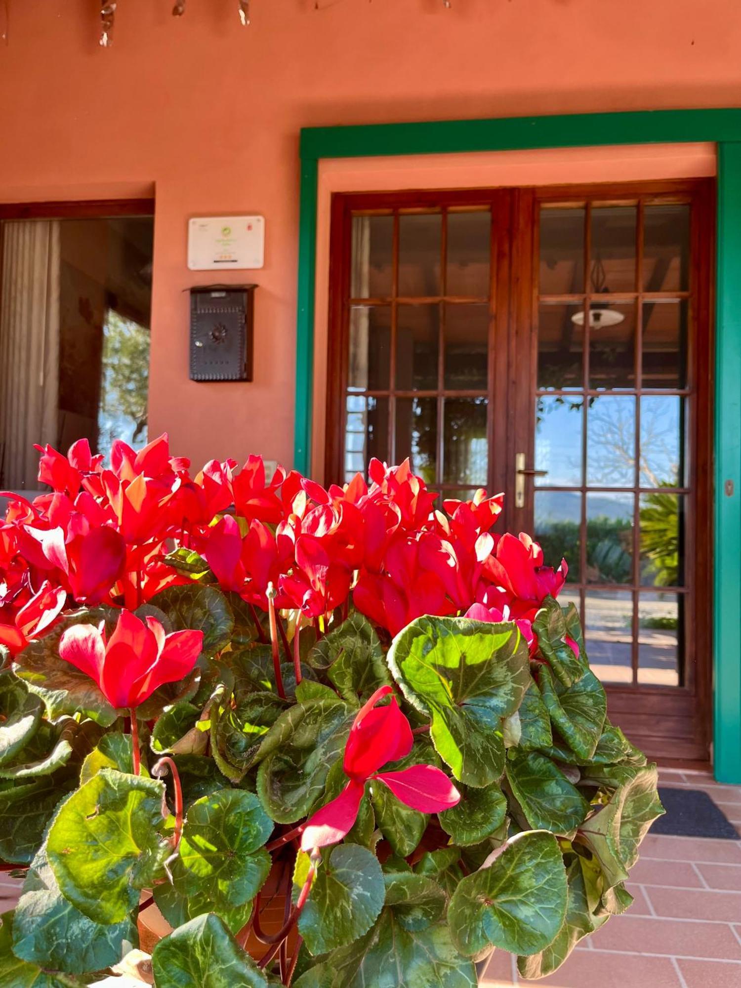 Agriturismo Valdo Grosseto Bagian luar foto