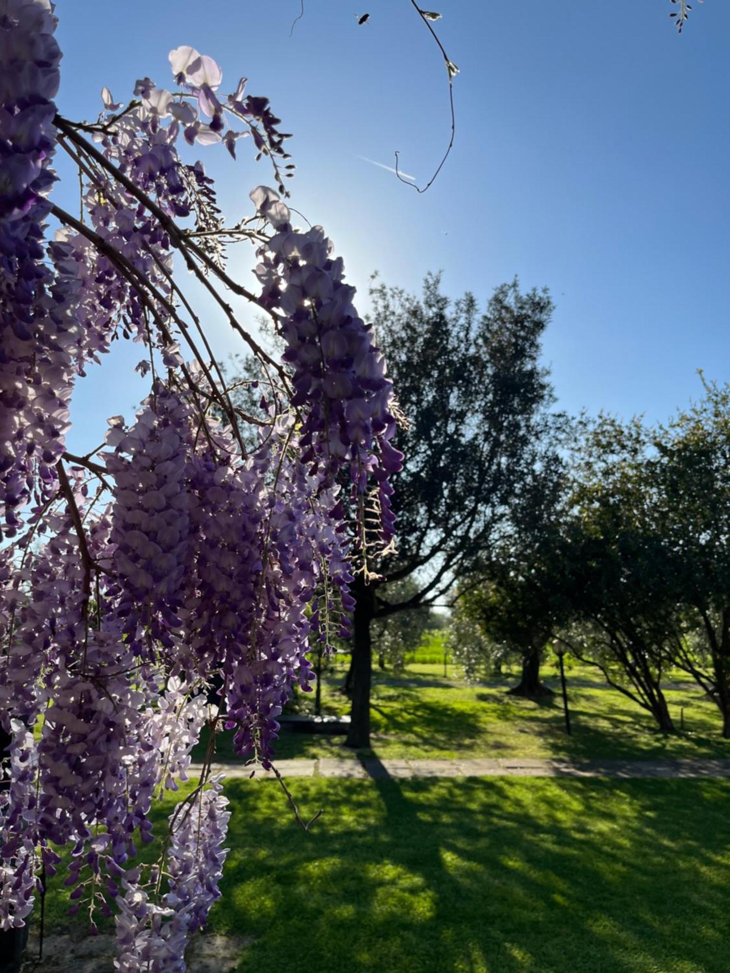 Agriturismo Valdo Grosseto Bagian luar foto