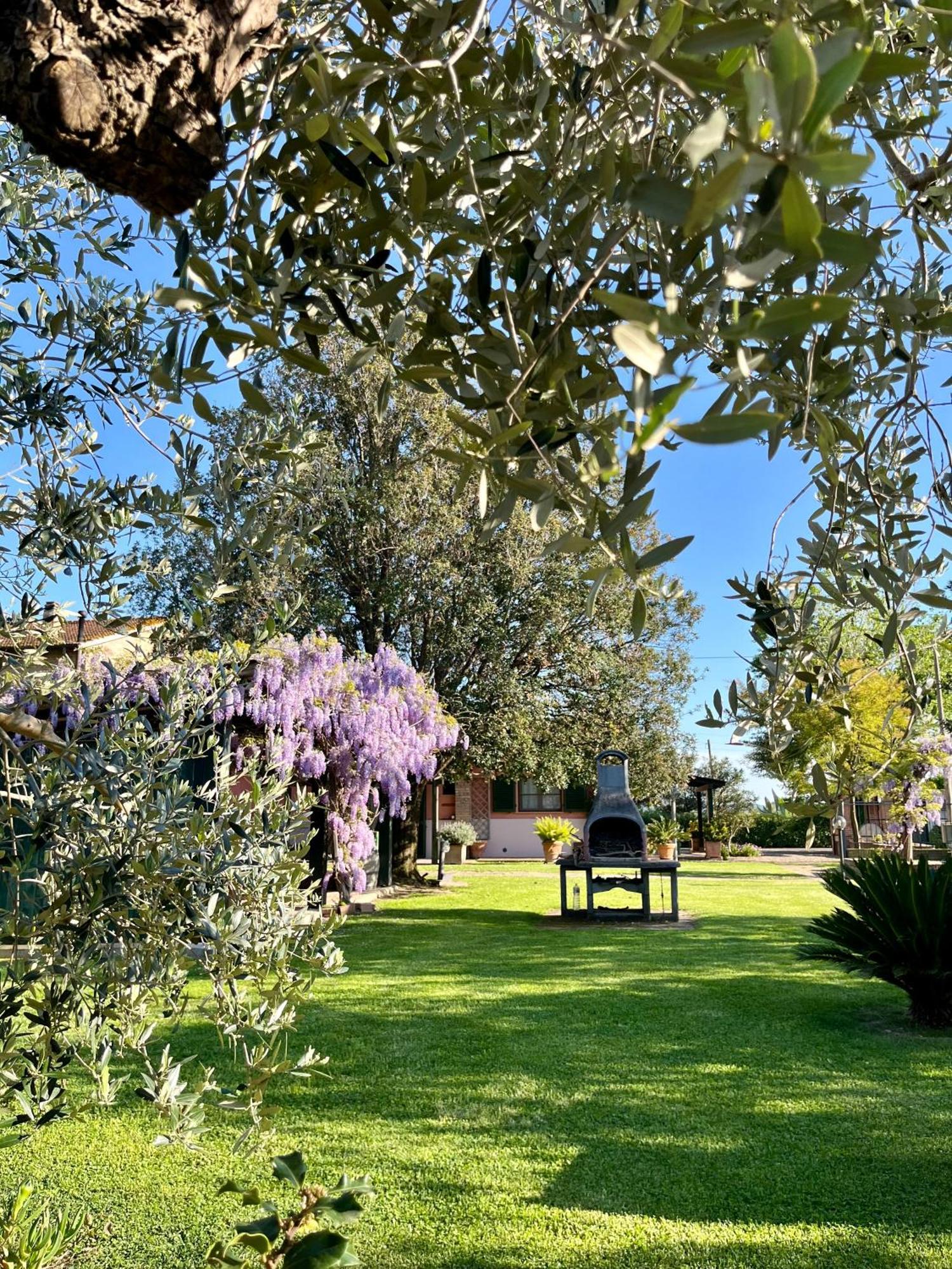 Agriturismo Valdo Grosseto Bagian luar foto